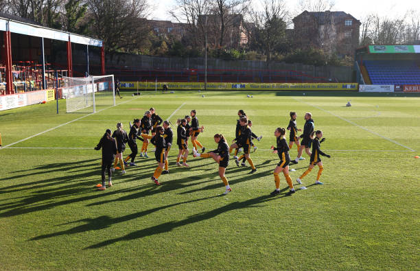 的声音似乎 的声音似乎